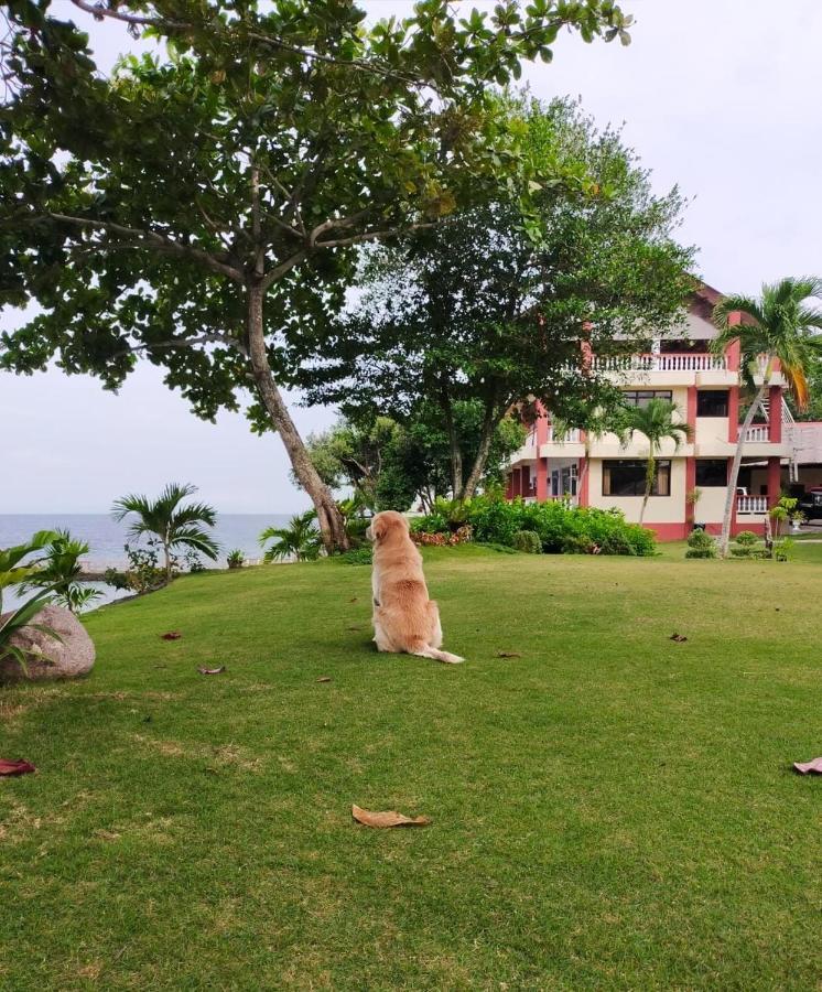 Wuthering Heights Bed & Breakfast By The Sea Dumaguete City Exterior photo