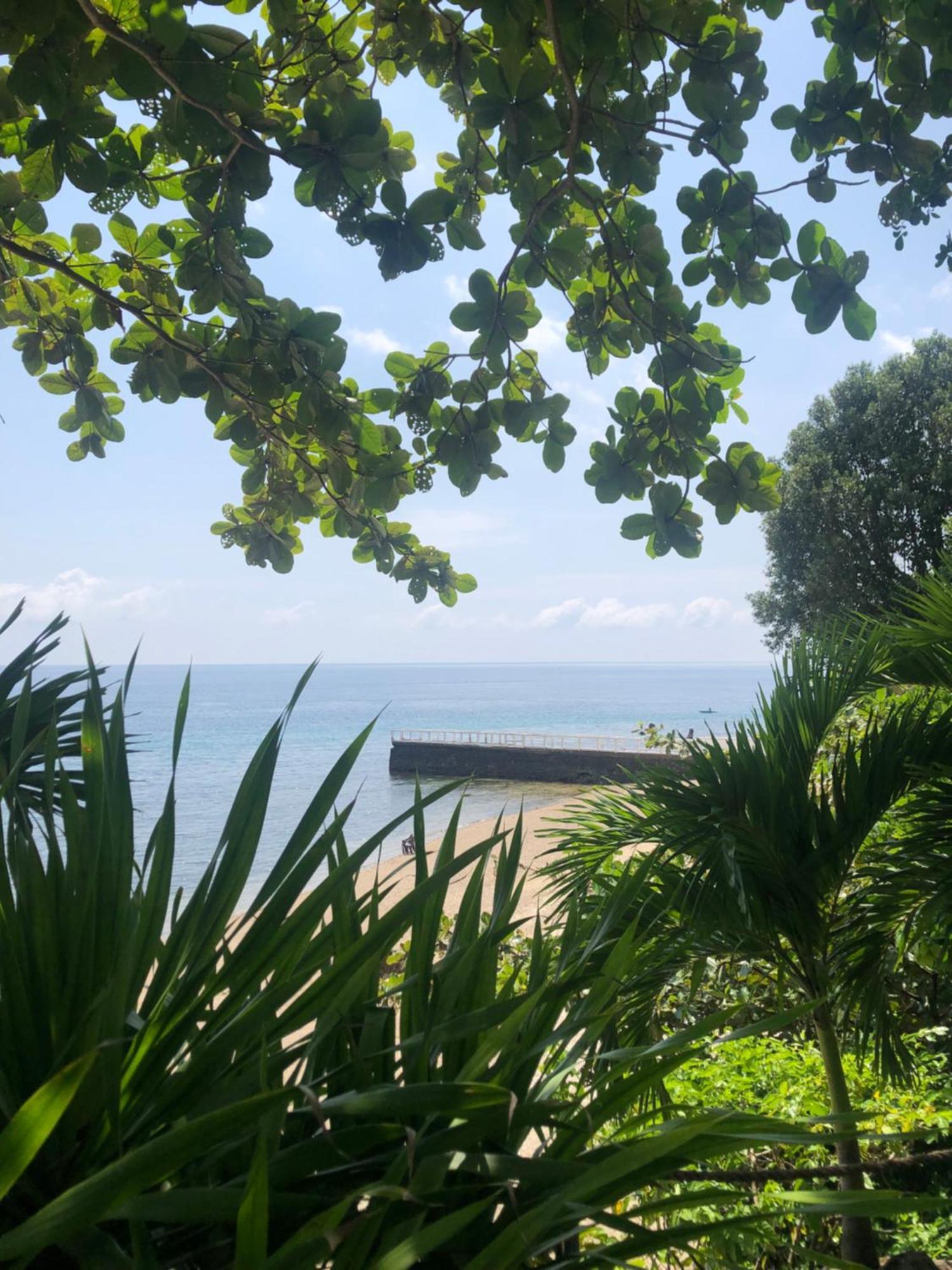 Wuthering Heights Bed & Breakfast By The Sea Dumaguete City Exterior photo